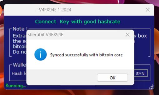 Bitcoin Sender Flash, 6/6 conformation